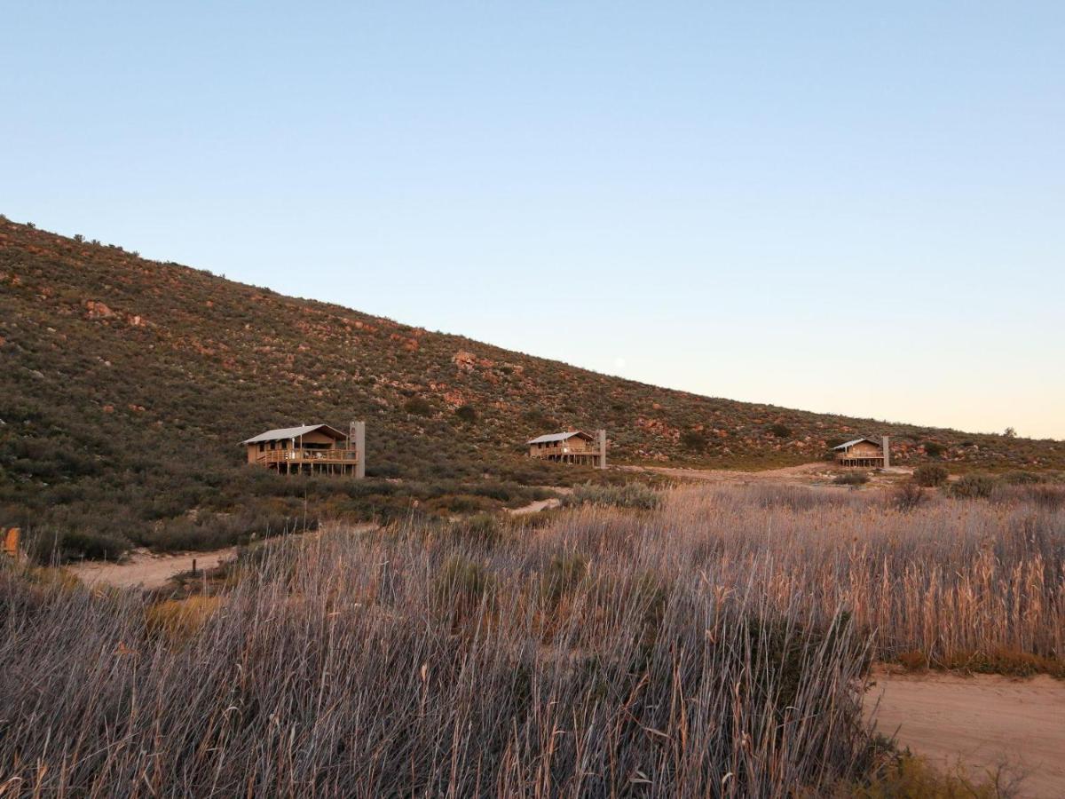 הוילה De Doorns Africamps At Karoo 1 מראה חיצוני תמונה