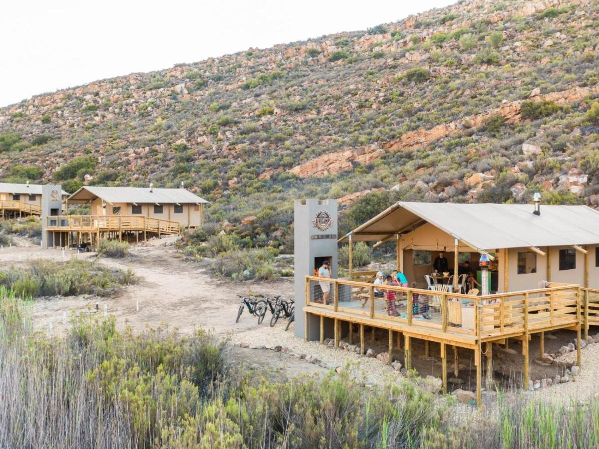 הוילה De Doorns Africamps At Karoo 1 מראה חיצוני תמונה